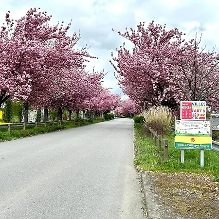 Une Bebe Ou Enfant Trois Ans A La Campagne Au Calme *